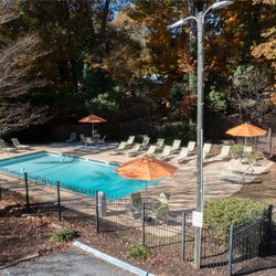pool view at 2207 North located in Greenville, SC