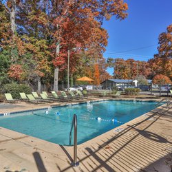 pool view at 2207 North located in Greenville, SC